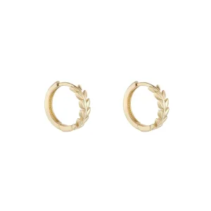 Jack Murphy Jewellers Jmj Gold Jewellery | 9ct Yellow Gold 10mm Laurel Leaf Hoop Earrings