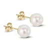 Jack Murphy Jewellers Bridal Jewellery | 9ct Yellow Gold Pear 7.5mm Akoya Pearl Stud Earrings