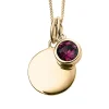 Jack Murphy Jewellers Jmj Birthstone Jewellery | February Yellow Gold Plate Crystal Birthstone Personalising Necklace