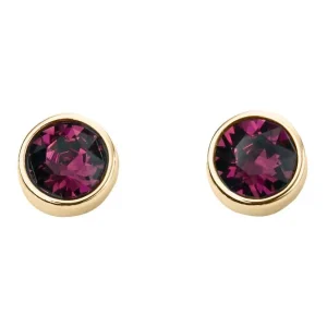 Jack Murphy Jewellers Jmj Birthstone Jewellery | February Yellow Gold Plated Crystal Birthstone Earrings