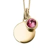 Jack Murphy Jewellers Jmj Birthstone Jewellery | October Yellow Gold Plate Crystal Birthstone Personalising Necklace