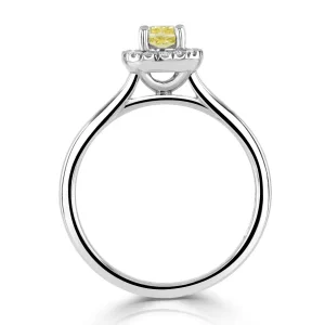 Jack Murphy Jewellers Natural Halo Diamond Rings | Platinum Yellow Cushion Diamond Halo Ring 0.52ct