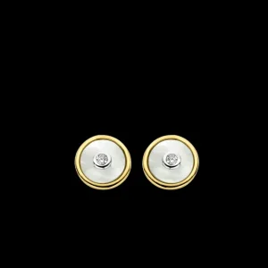 Ti Sento - Milano All Jmj & Branded Fashion Jewellery | Earrings 7926MW